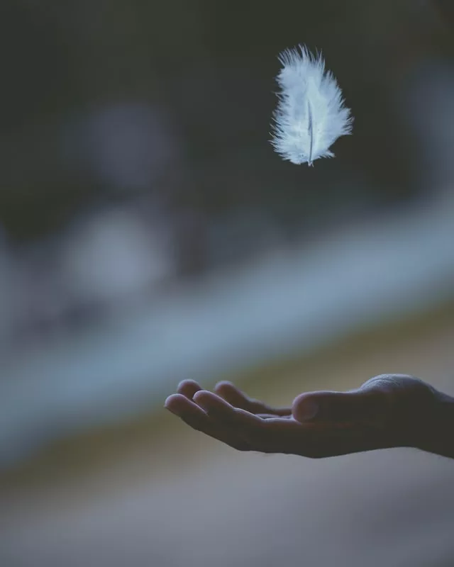 peace-feather