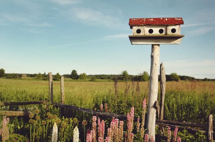 image by Jen Theodore ~ Unsplash