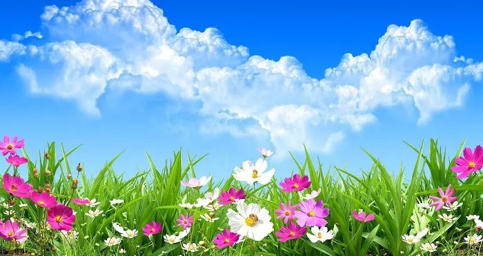 spring
